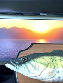 Poster for Pep Talk video from Talking Fish