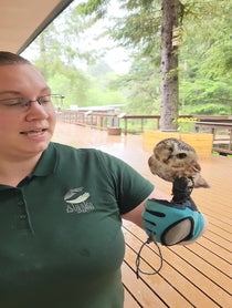 Poster for Anniversary video from Alaska Raptor Center