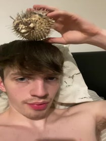 Poster for Birthday video from Shovey