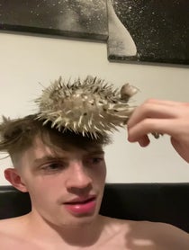 Poster for Other video from Shovey
