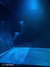 Poster for Intro video video from Deep Blue