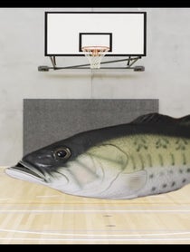 Poster for Birthday video from Talking Fish