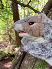 Poster for Other video from Squirrel Dialogues