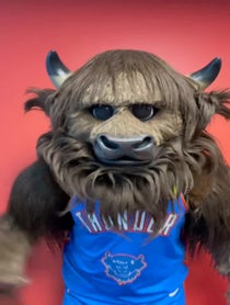 Poster for Birthday video from Rumble The Bison
