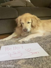 Poster for Intro video video from Jovi and Laura