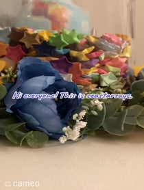 Poster for Intro video video from seastarsays