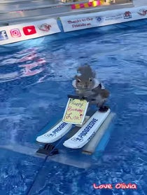 Poster for Birthday video from Twiggy the Water Skiing Squirrel