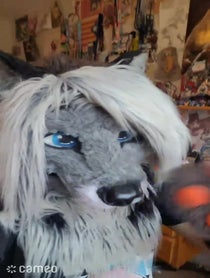 Poster for Intro video video from Cassidy Civet