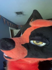 Poster for Other video from Suka Vulpe