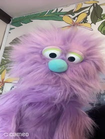 Poster for Intro video video from PURPLE PUPPET