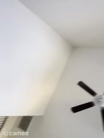 Poster for Intro video video from Frankie Keith Birdine