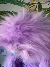 Poster for Pep Talk video from PURPLE PUPPET