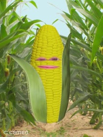 Poster for Intro video video from CORNdiff Propane