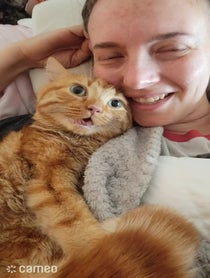Poster for Intro video video from Butters the CH Kitten