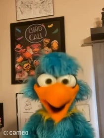 Poster for Intro video video from Bird Call