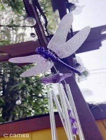 Poster for Intro video video from Kadi