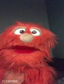 Poster for Intro video video from The Bingel Puppet Troupe