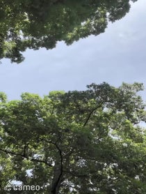 Poster for Intro video video from Dennis Lee