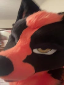 Poster for Other video from Suka Vulpe