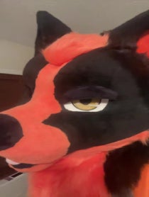 Poster for Pride video from Suka Vulpe