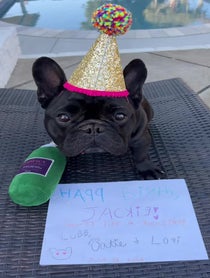 Poster for Birthday video from Oatie Meal