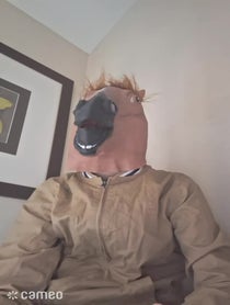 Poster for Intro video video from horse face guy