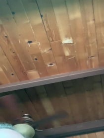 Poster for Intro video video from Dylan Webb