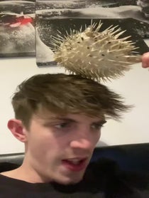 Poster for Other video from Shovey