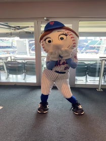 Poster for Birthday video from Mr. &  Mrs. Met