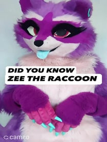 Poster for Intro video video from Zee the Raccoon