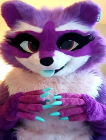 Poster for Question video from Zee the Raccoon
