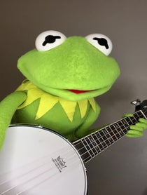 Poster for Other video from Kermit the Tribute