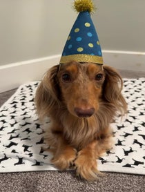 Poster for Birthday video from Roswell