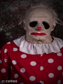 Poster for Intro video video from WRINKLES THE CLOWN
