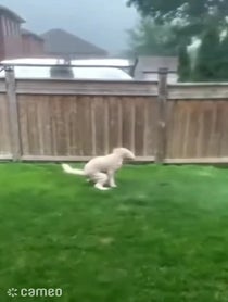 Poster for Intro video video from ItalianBach