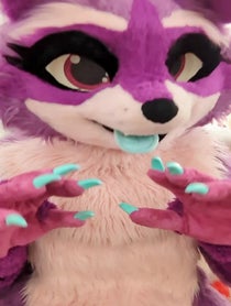 Poster for Birthday video from Zee the Raccoon