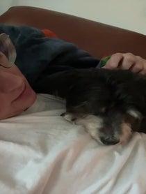 Poster for Birthday video from Bex Taylor-Klaus