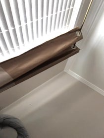 Poster for Intro video video from Brian Hirshblond