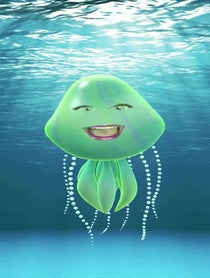 Poster for Other video from Squish the Jellyfish