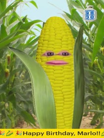 Poster for Birthday video from CORNdiff Propane
