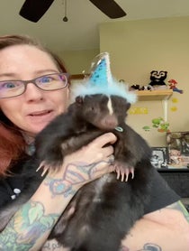 Poster for Birthday video from Nugget 42-PU dispatching skunk