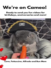 Poster for Intro video video from Hannah Goldman