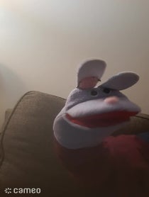 Poster for Intro video video from The Cranky Bunny
