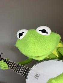 Poster for Other video from Kermit the Tribute