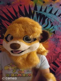 Poster for Intro video video from Meerka the Meerkat