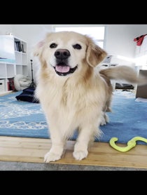 Poster for Pep Talk video from The Golden Ratio