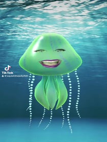 Poster for Other video from Squish the Jellyfish