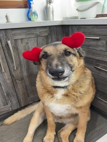 Poster for Other video from Django Smiles