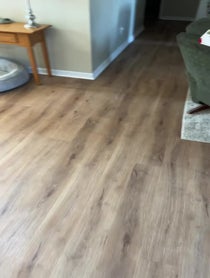 Poster for Birthday video from Reuben the Bulldog