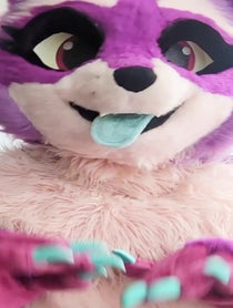Poster for Birthday video from Zee the Raccoon